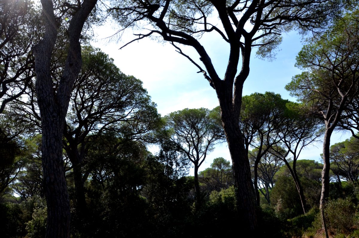 Galleria foto 'Un’impresa sui pedali per sostenere la sigaretta elettronica' - foto 23