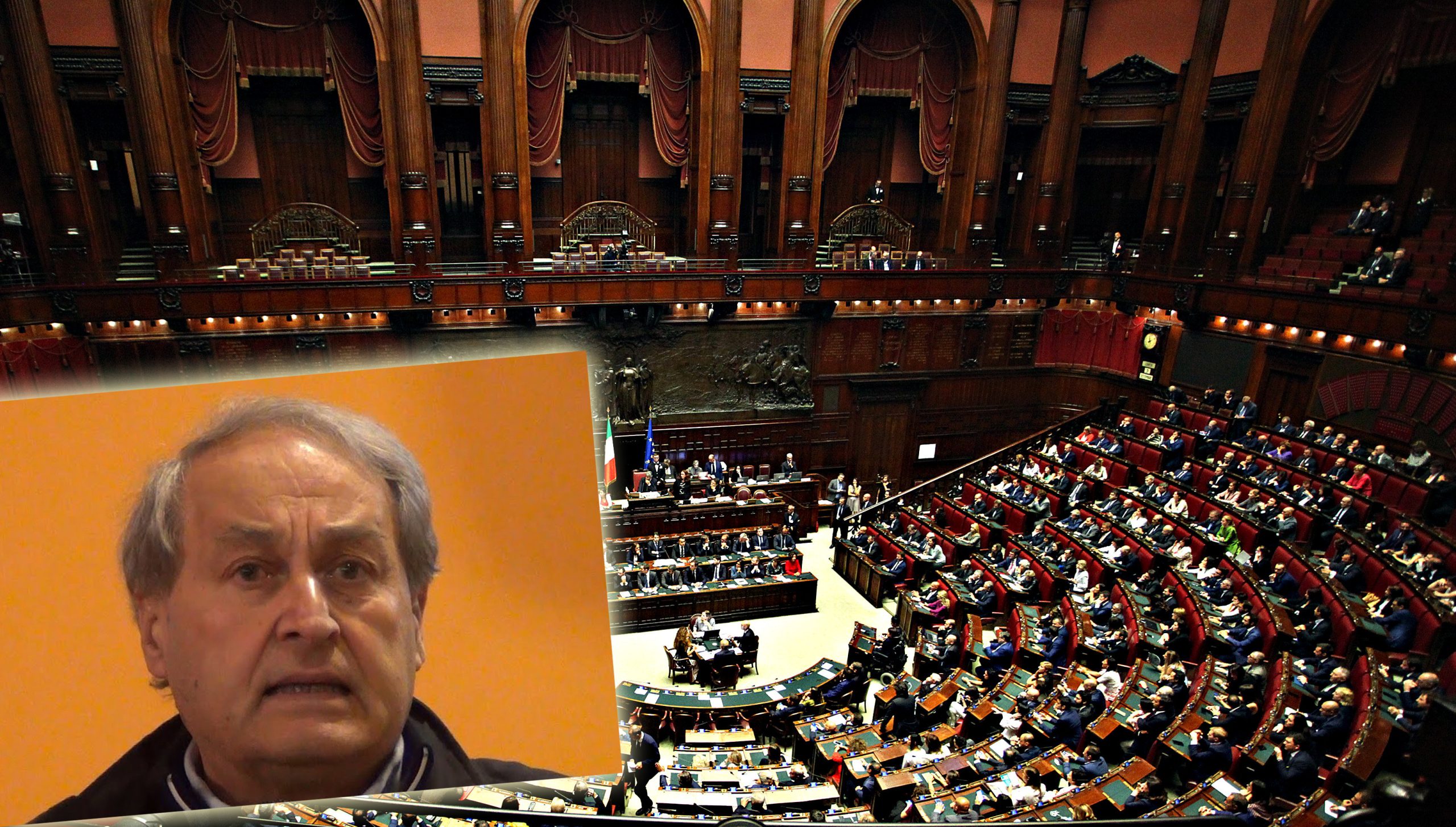 «Con il taglio dei parlamentari, le Aule non funzioneranno meglio»