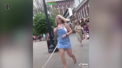 Un cespuglio apparentemente normale… | video