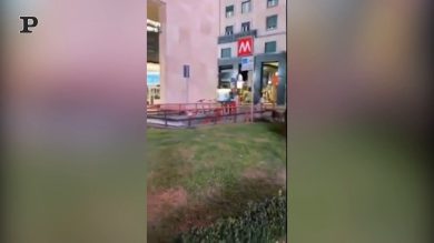 Milano, topi in piazza San Babila | video