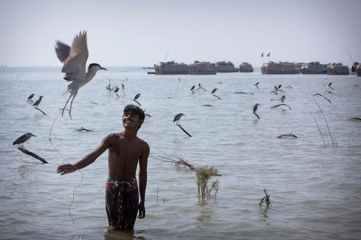 Galleria foto 'Perpignan: Visa pour l’image 2020' - foto 11