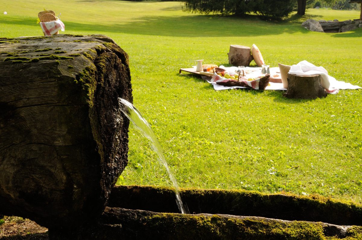 Galleria foto '«Vi siete divertiti?» Paolo Griffa racconta la sua cucina stellata' - foto 17