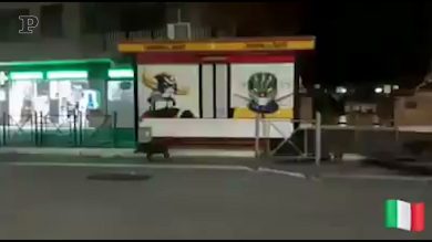 Cinghiali a spasso per Roma | video