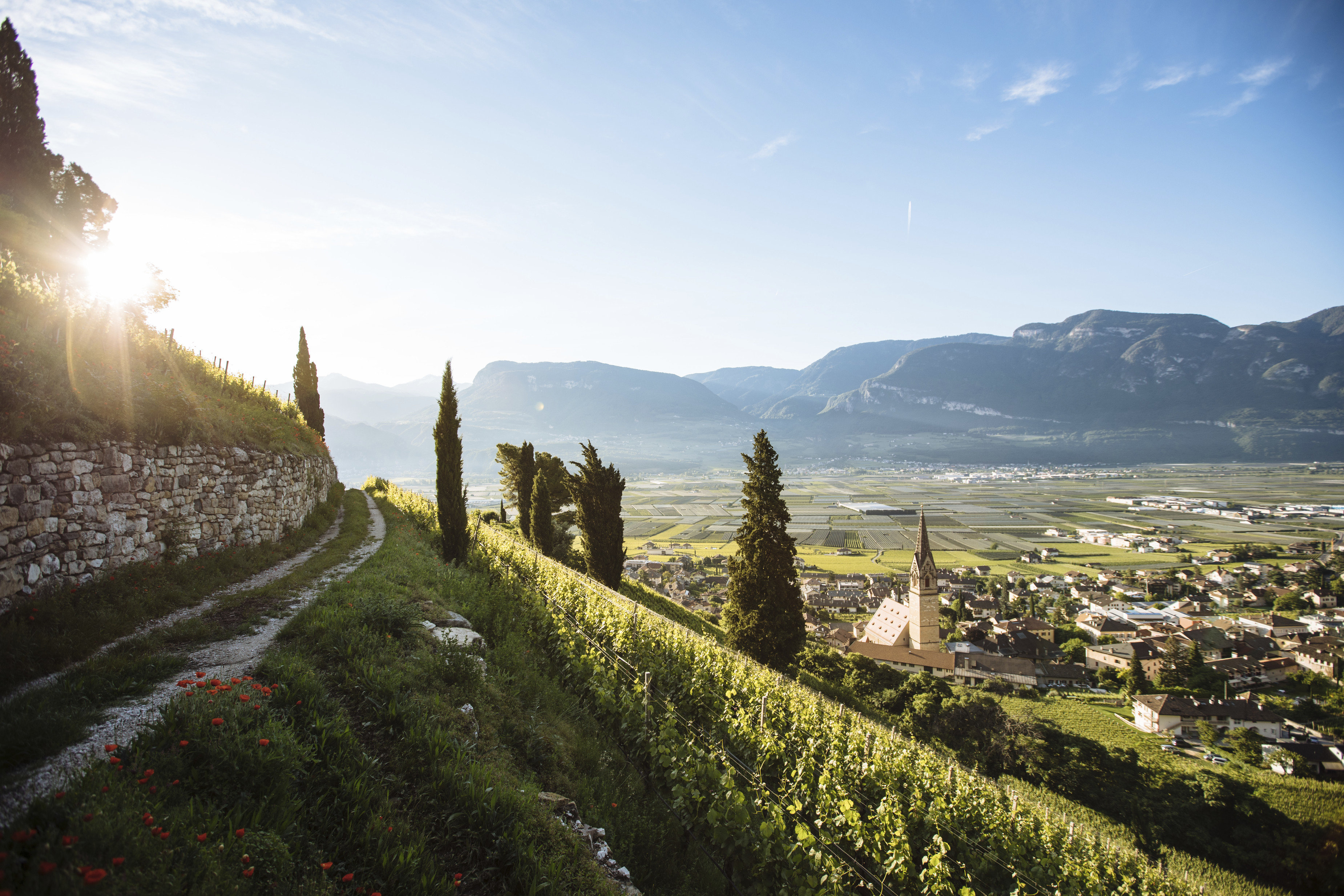 Turismo nel bicchiere: tre idee per un giro tra le vigne