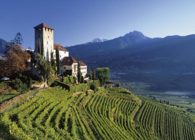 Turismo nel bicchiere: tre idee per un giro tra le vigne