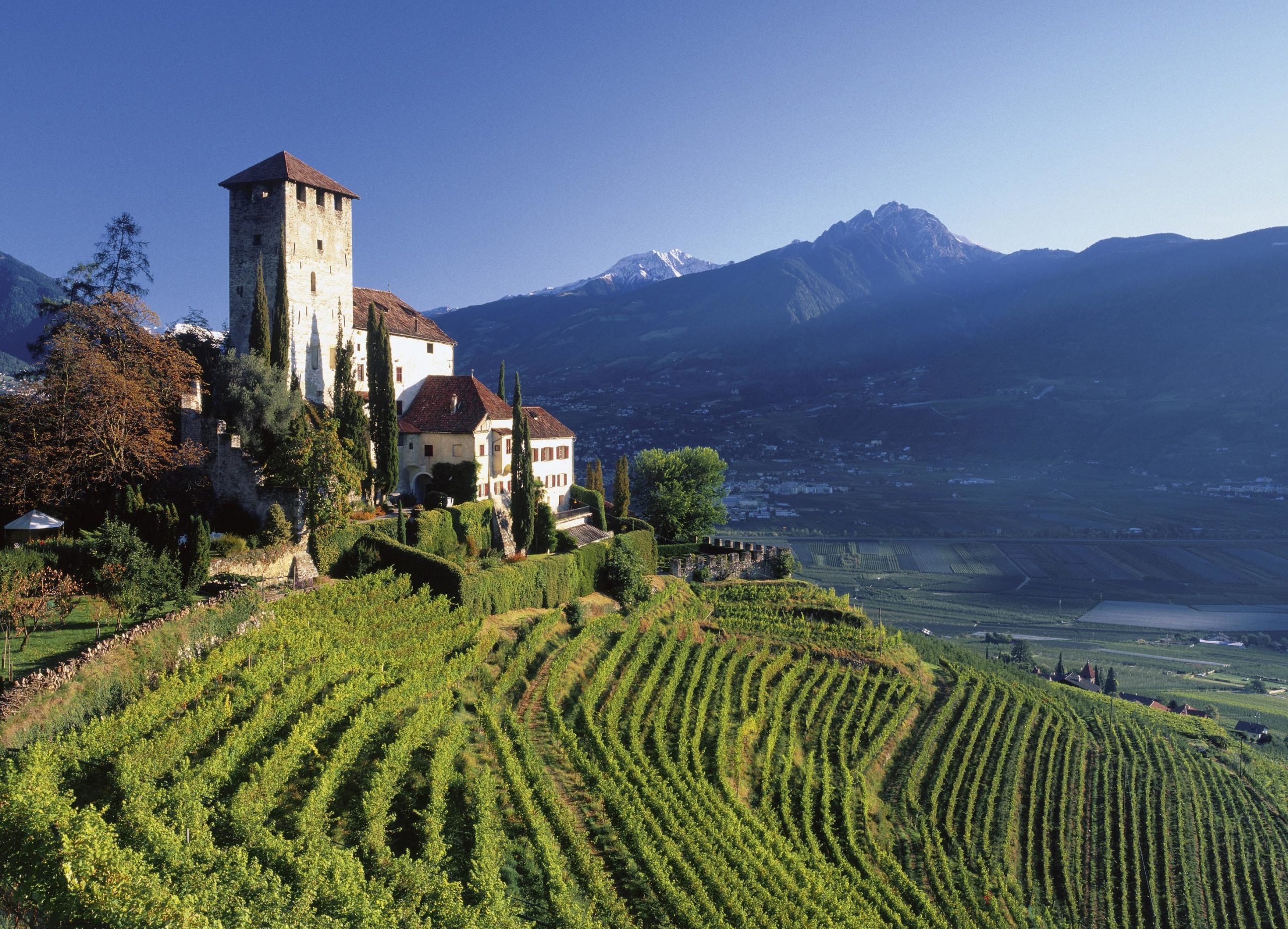 Turismo nel bicchiere: tre idee per un giro tra le vigne Turismo nel bicchiere: tre idee per un giro tra le vigne