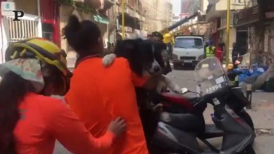 Beirut, a un mese dall’esplosione il cane Flash individua un battito cardiaco