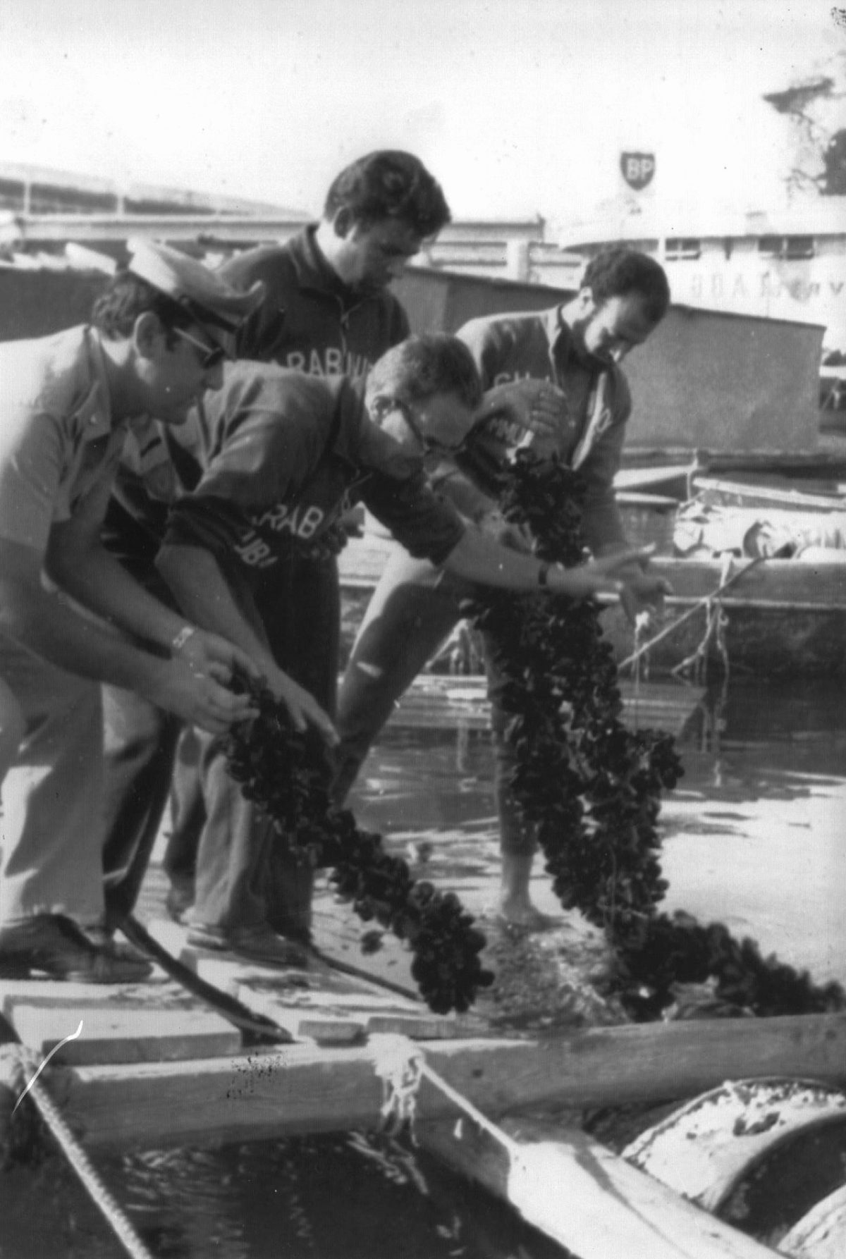 Galleria foto 'Epidemia, morte e tumulti: Napoli e le crisi del colera' - foto 6
