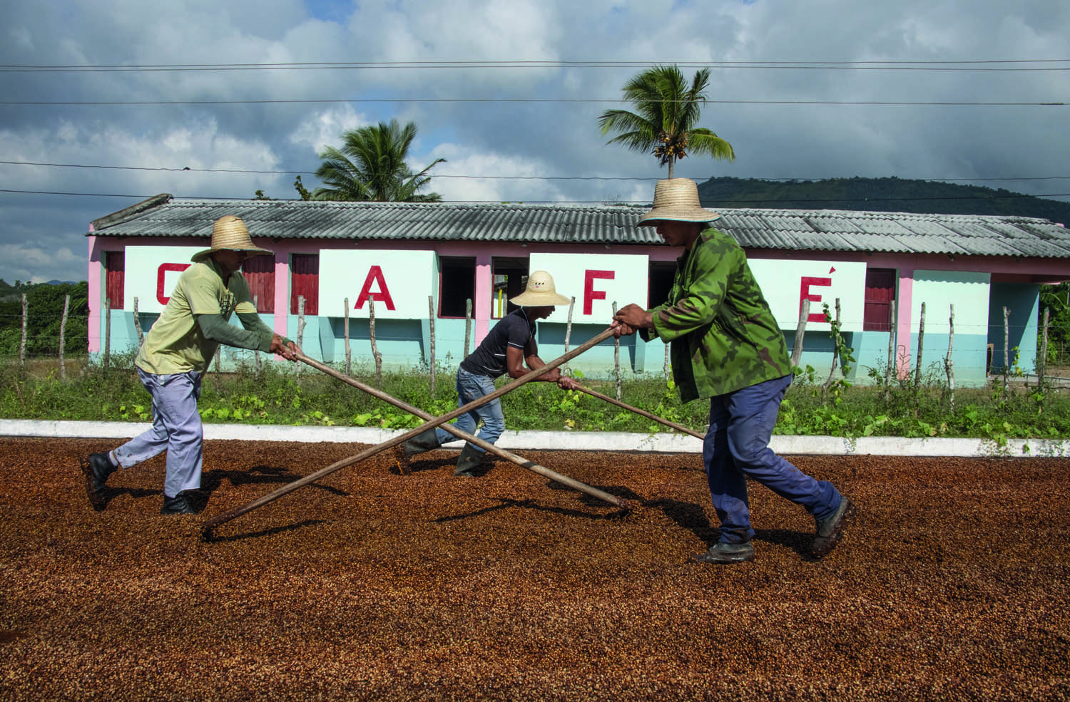 Il futuro
 dipende 
dai brand virtuosi