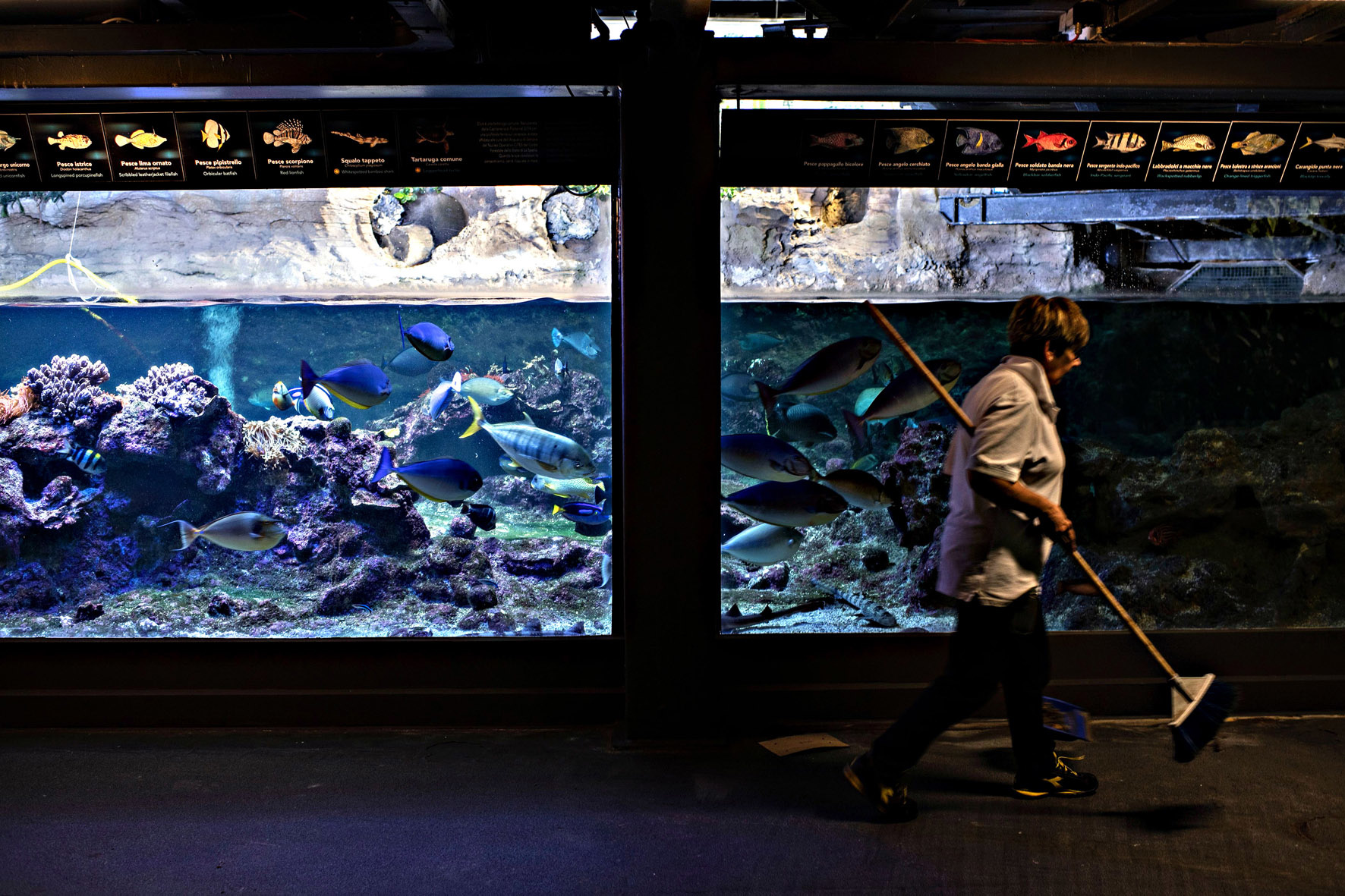 I parchi a tema italiani sono in ginocchio