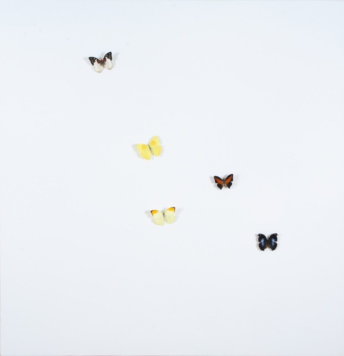 Galleria foto 'Dal ‘600 al ‘900: collezioni in dialogo ad Abano Terme' - foto 7