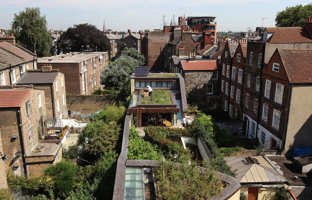 Galleria foto '«Bloom economy». Oggi l’insalata si coltiva sul tetto e il selfie si scatta col ficus' - foto 2