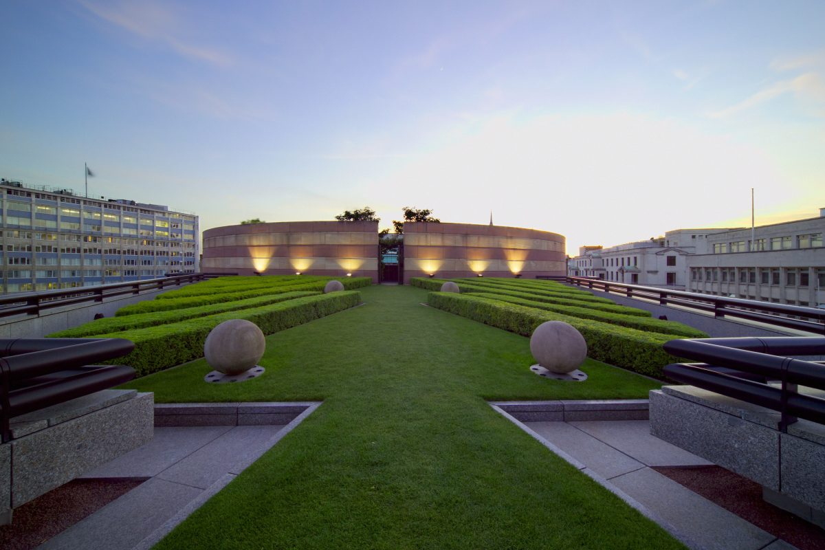 Galleria foto '«Bloom economy». Oggi l’insalata si coltiva sul tetto e il selfie si scatta col ficus' - foto 4