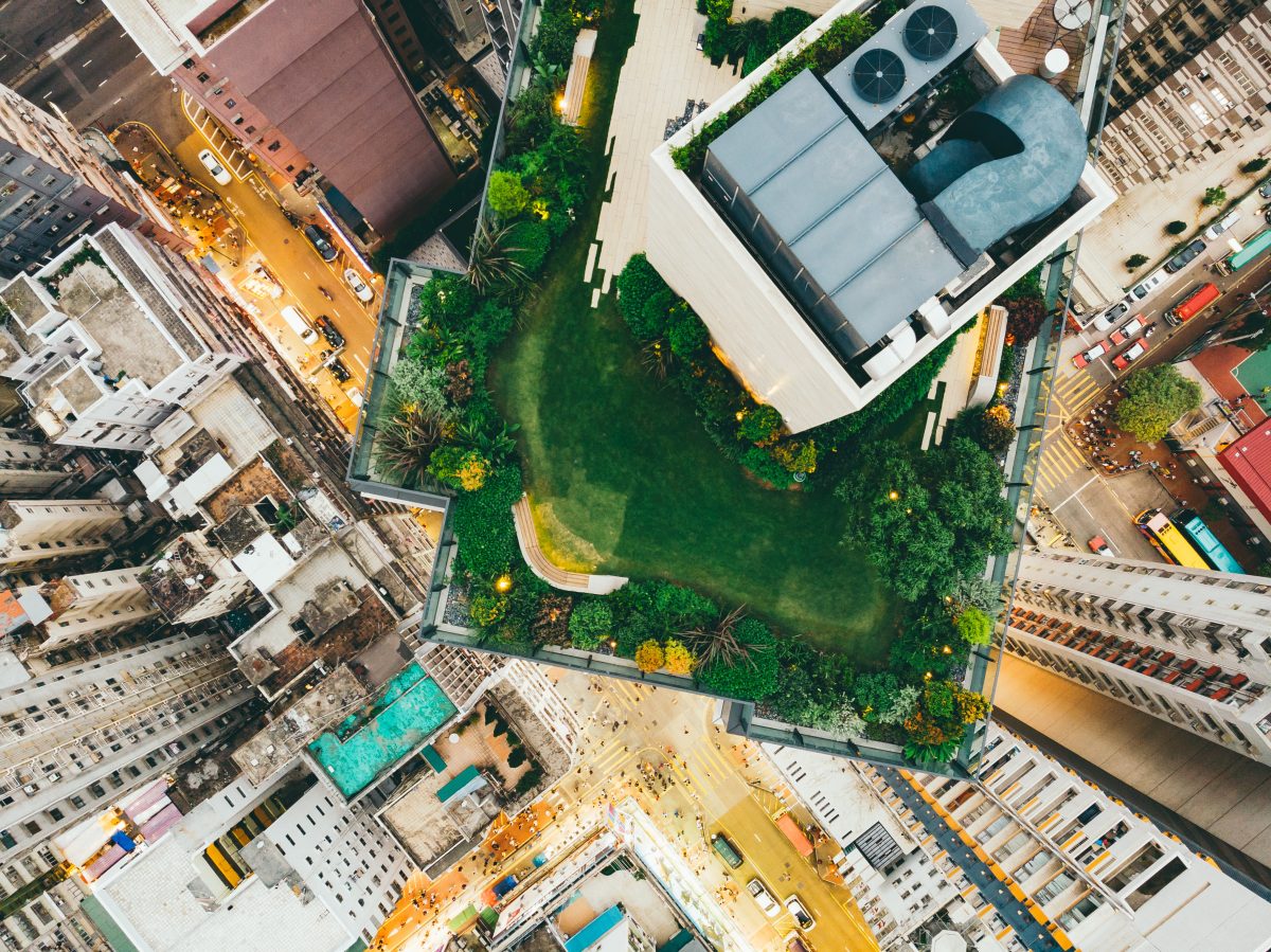 Galleria foto '«Bloom economy». Oggi l’insalata si coltiva sul tetto e il selfie si scatta col ficus' - foto 5