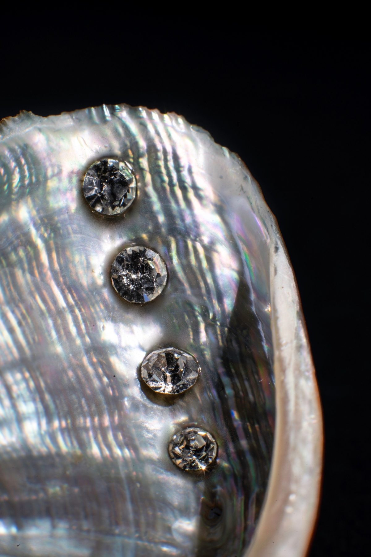 Galleria foto 'Il design sbarca in Campidoglio' - foto 3