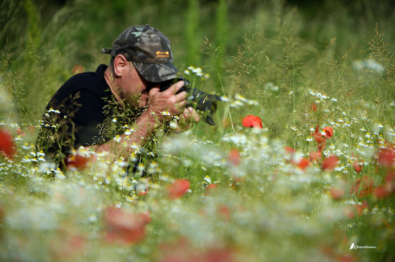 Marco Polonioli, ritratto di un fotografo naturalista