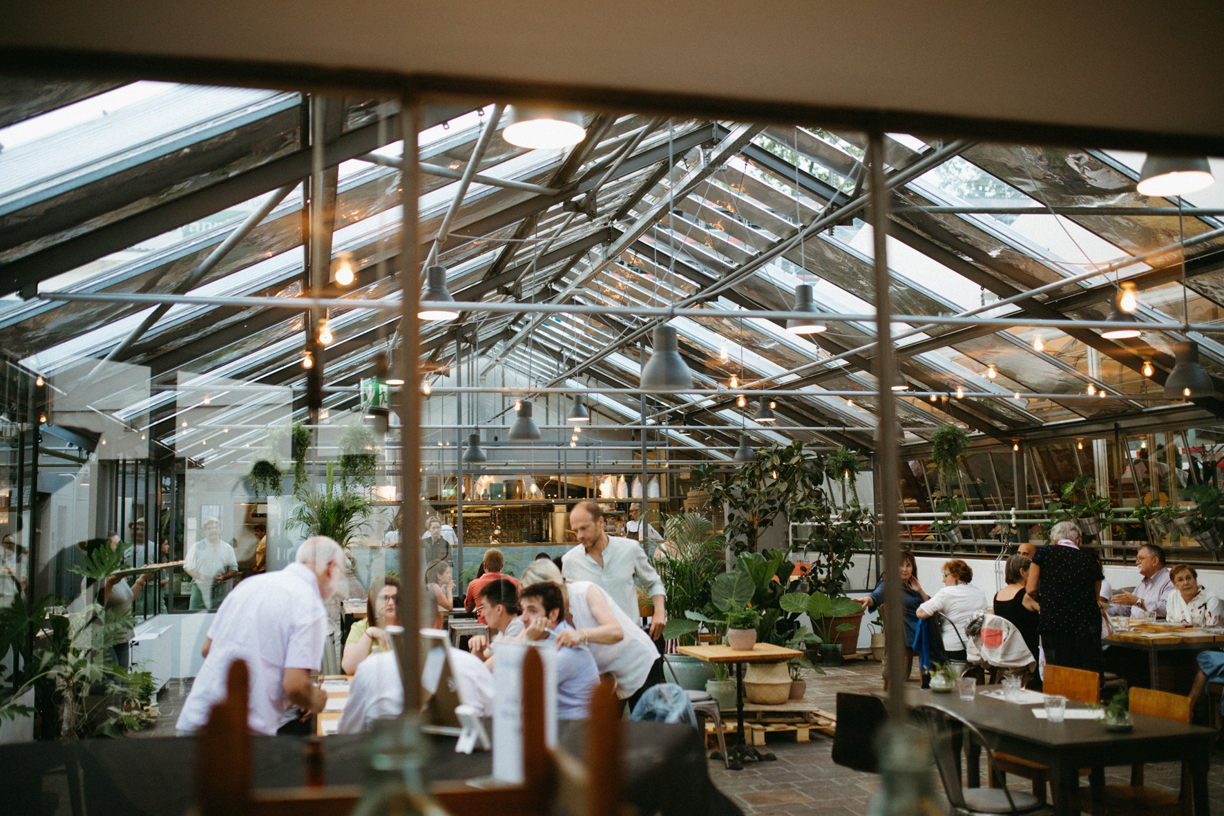 Metti una «serra» a cena Metti una «serra» a cena