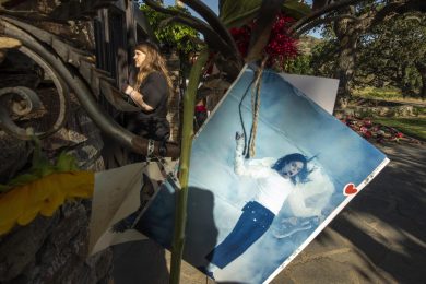 Michael Jackson: la sua Neverland ha un nuovo proprietario