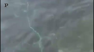 Gallipoli, camion dei rifiuti finisce in mare | video