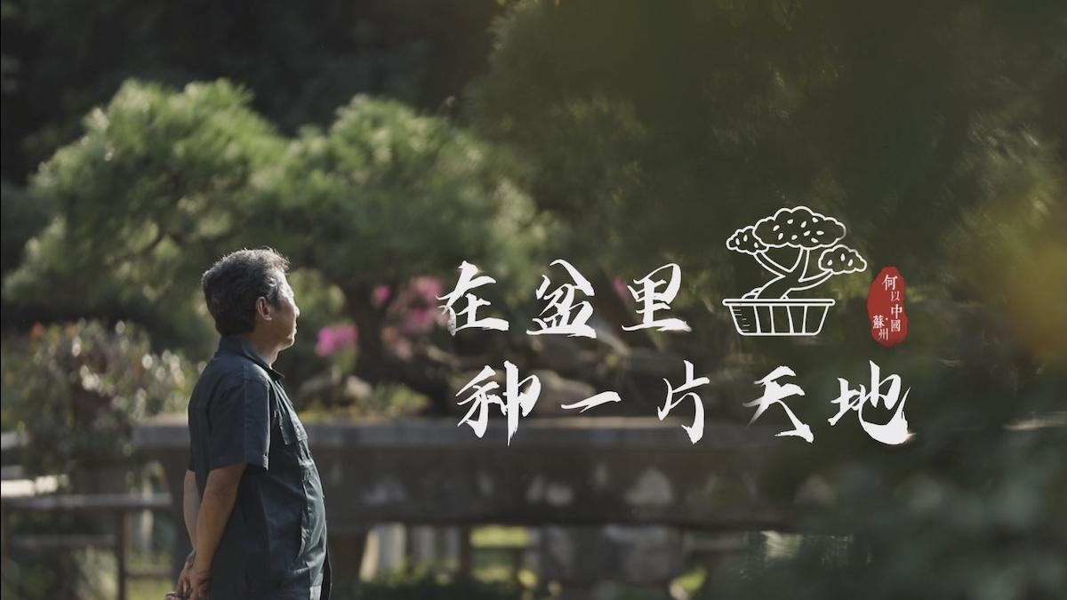 Rui Liangyuan: il mondo in un bonsai Rui Liangyuan: il mondo in un bonsai