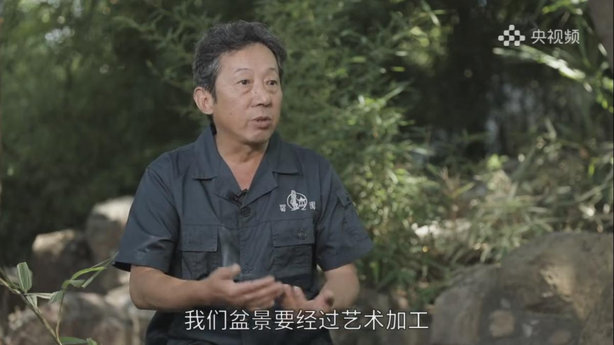 Rui Liangyuan: il mondo in un bonsai Rui Liangyuan: il mondo in un bonsai