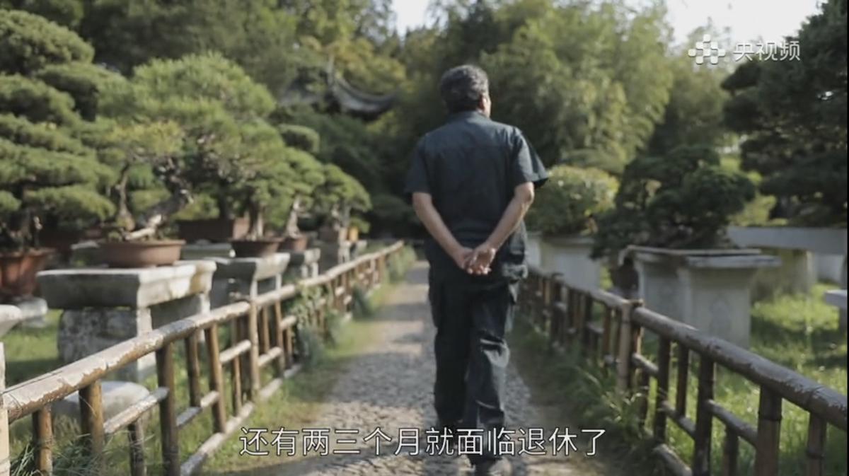 Rui Liangyuan: il mondo in un bonsai Rui Liangyuan: il mondo in un bonsai