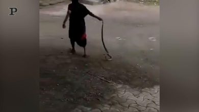 Serpente in punizione… come un bambino! Vecchi metodi di insegnamento tornano | video