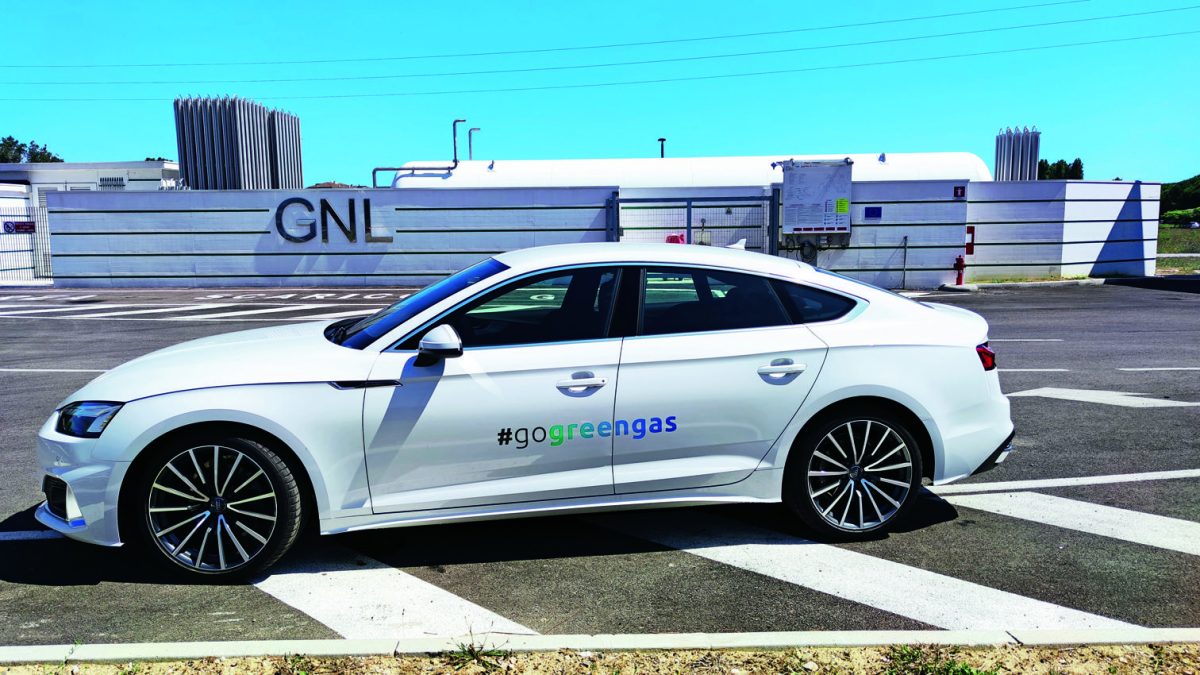 Galleria foto 'Guida alla mobilità green: il biometano' - foto 7