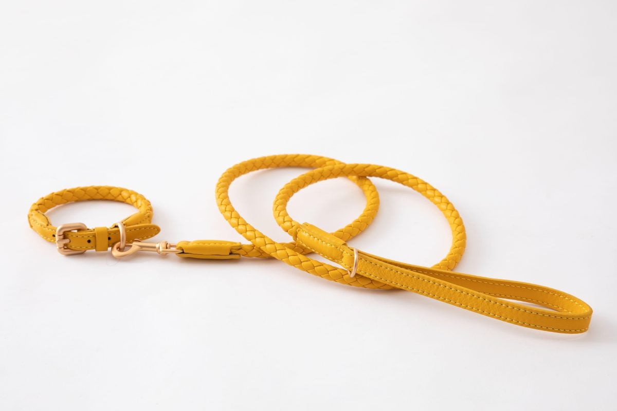 Galleria foto 'Natale gourmet per Fido' - foto 9