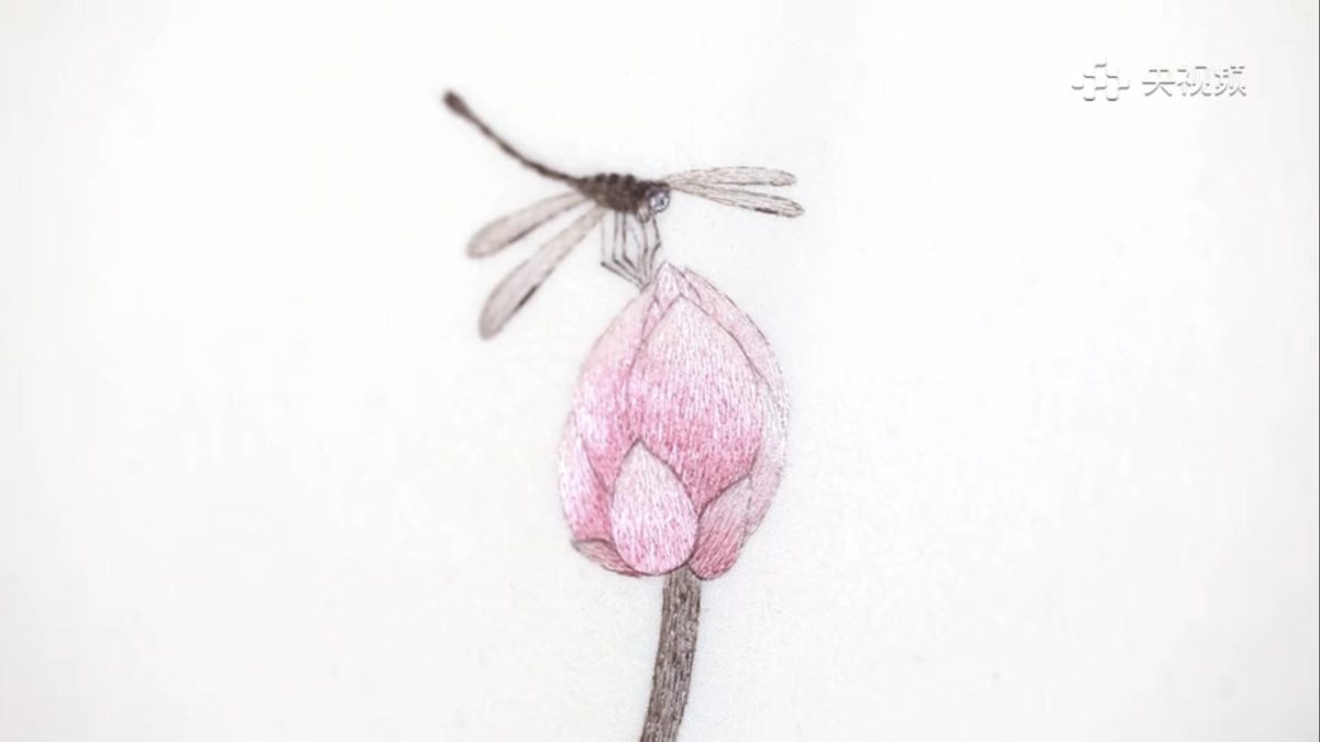 Galleria foto 'Il ricamatore Zhang Xue: fantasia di luci e ombre con ago e filo' - foto 5