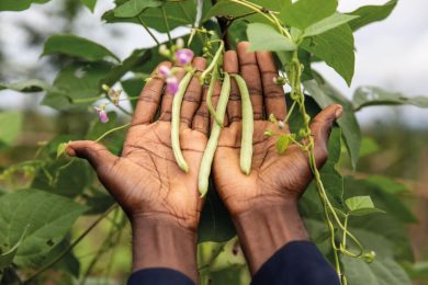 Sviluppo sostenibile, la ricchezza nasce dai diritti umani