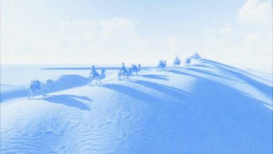 La tv cinese ospita il «Forum online per la cooperazione dei partner dei media europei 2020»