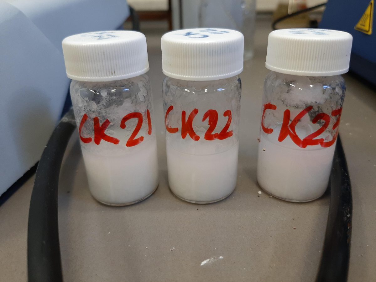 Galleria foto 'Le 10 invenzioni più straordinarie dalla Maker Faire di Roma' - foto 11