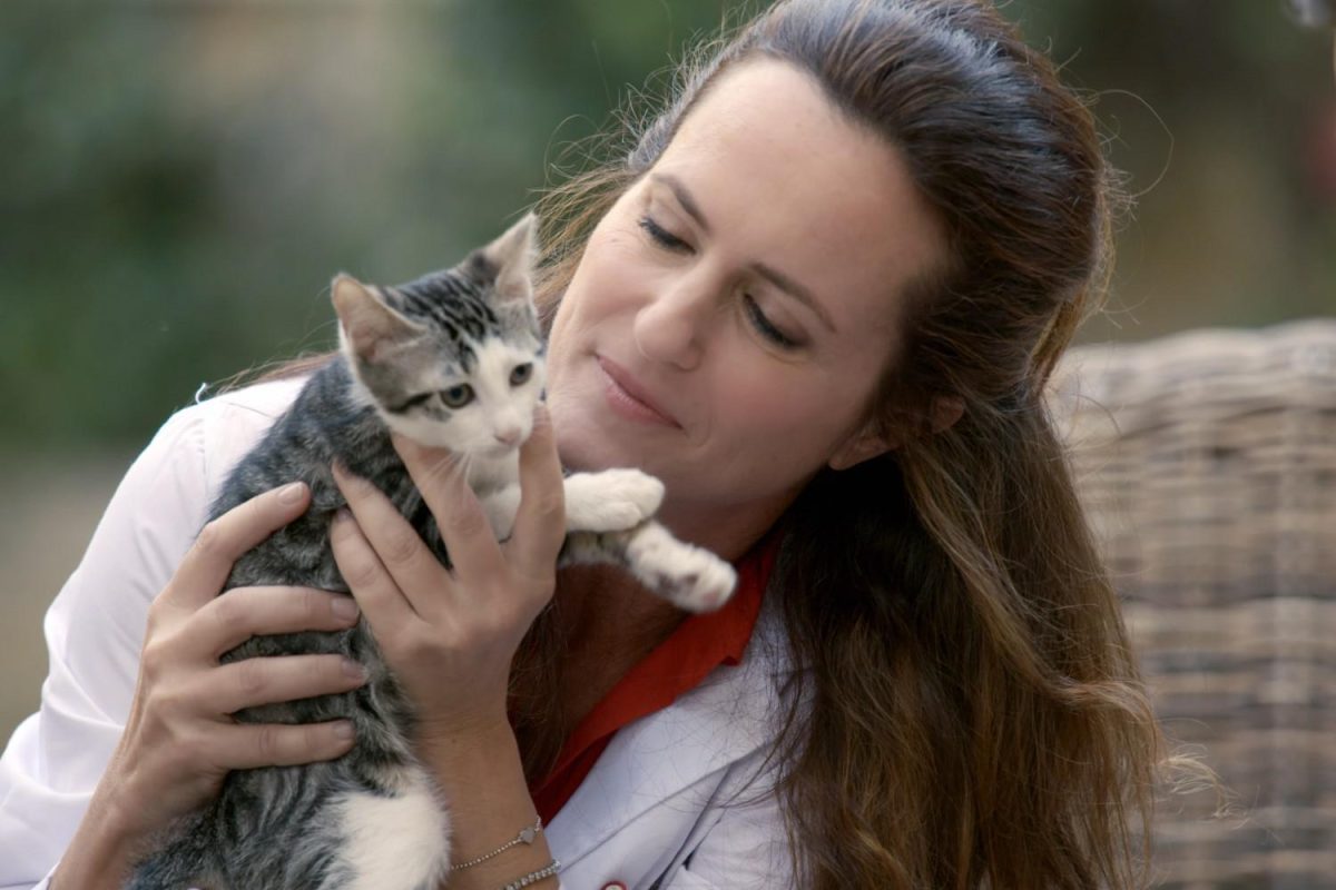 Galleria foto 'Timvision, tutte le novità, le serie e i programmi in arrivo' - foto 4