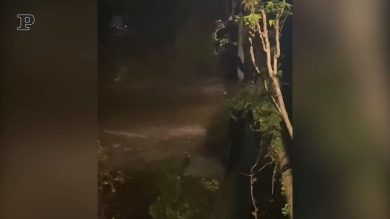 Roma, clochard rimane bloccato dal Tevere in piena sotto il Ponte Milvio | video