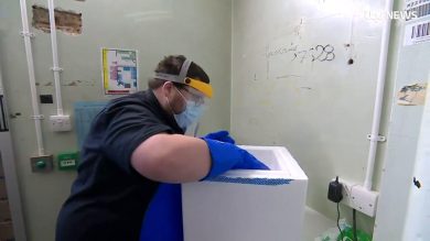 Covid-19, le prime dosi del vaccino Pfizer sono arrivate a Londra | video