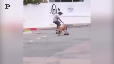 Skater provetto insegna all’amico umano alcuni semplici trick | video