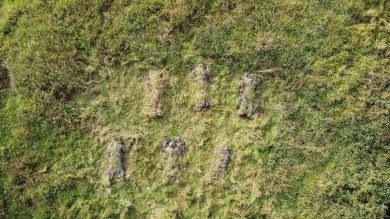 Mimetizzati nel parco, il flash mob contro il cemento