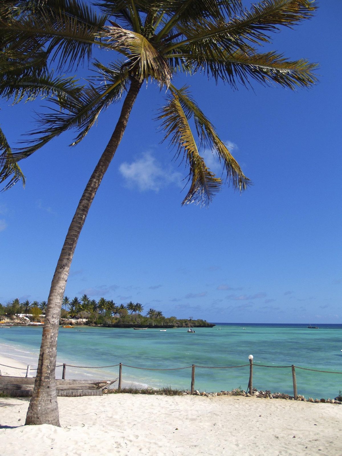 Galleria foto 'Pronti a tornare a bordo? Gli italiani sognano di andare lontano' - foto 4
