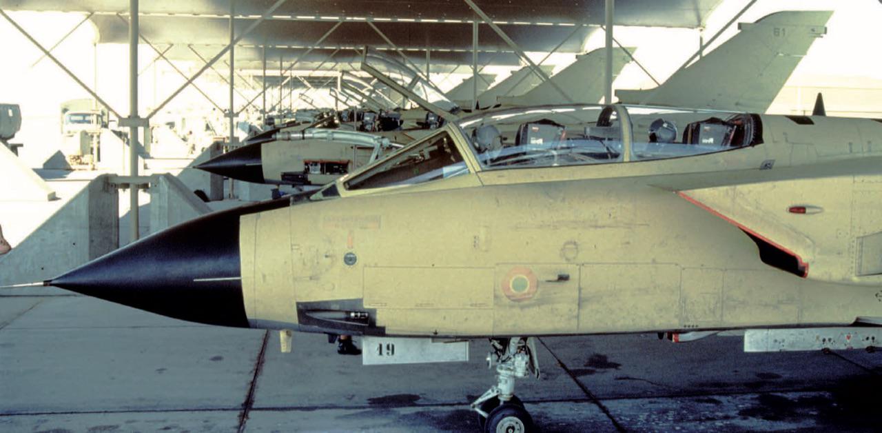 Operazione Locusta: L’ Aeronautica Militare Italiana e la prima guerra del Golfo Operazione Locusta: L’ Aeronautica Militare Italiana e la prima guerra del Golfo