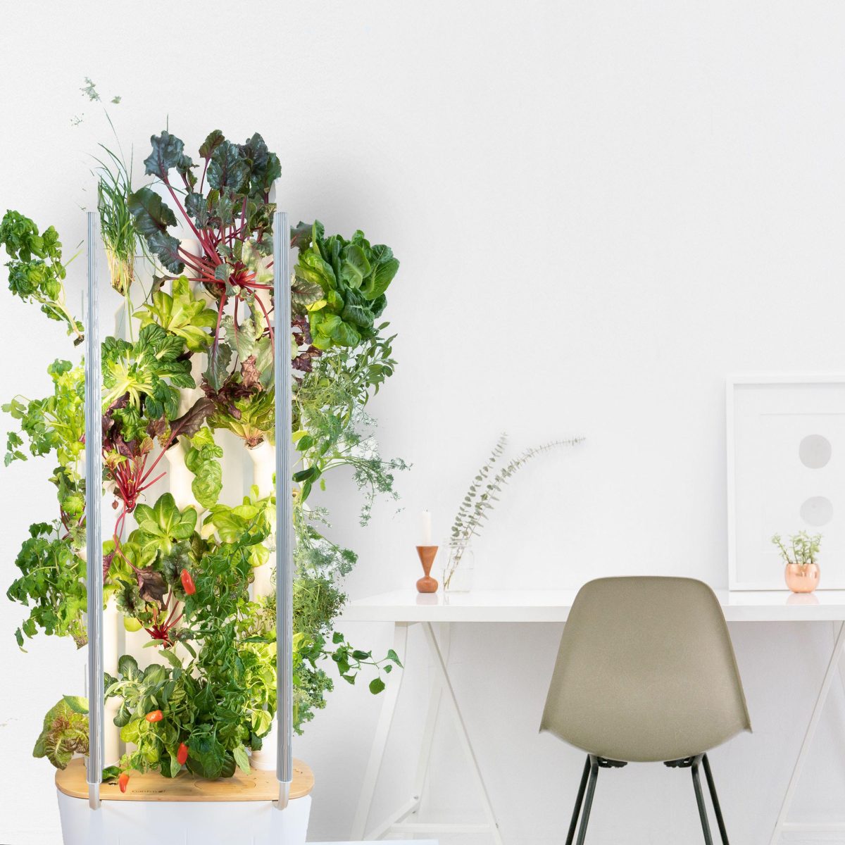 Galleria foto 'CES 2021: i dieci gadget più curiosi' - foto 4