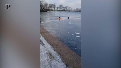 Si getta nel lago ghiacciato per salvare il cane | video