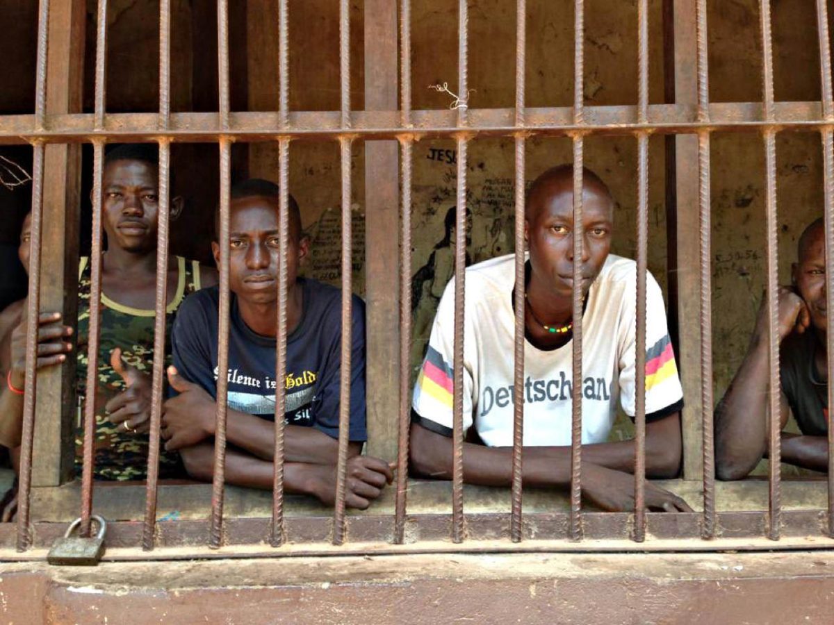 Galleria foto 'Il Centrafrica rischia di diventare un’altra Somalia' - foto 14