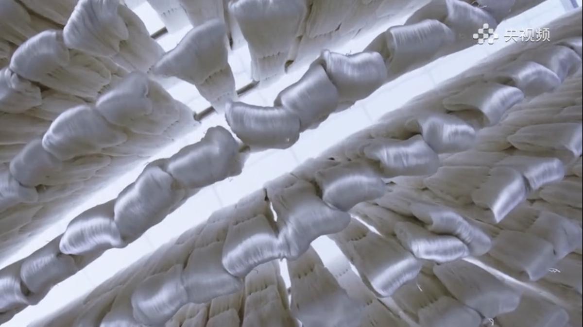 Qian Xiaoping: l’erede della tecnica di sericoltura che ha fatto rivivere il broccato Song Qian Xiaoping: l’erede della tecnica di sericoltura che ha fatto rivivere il broccato Song