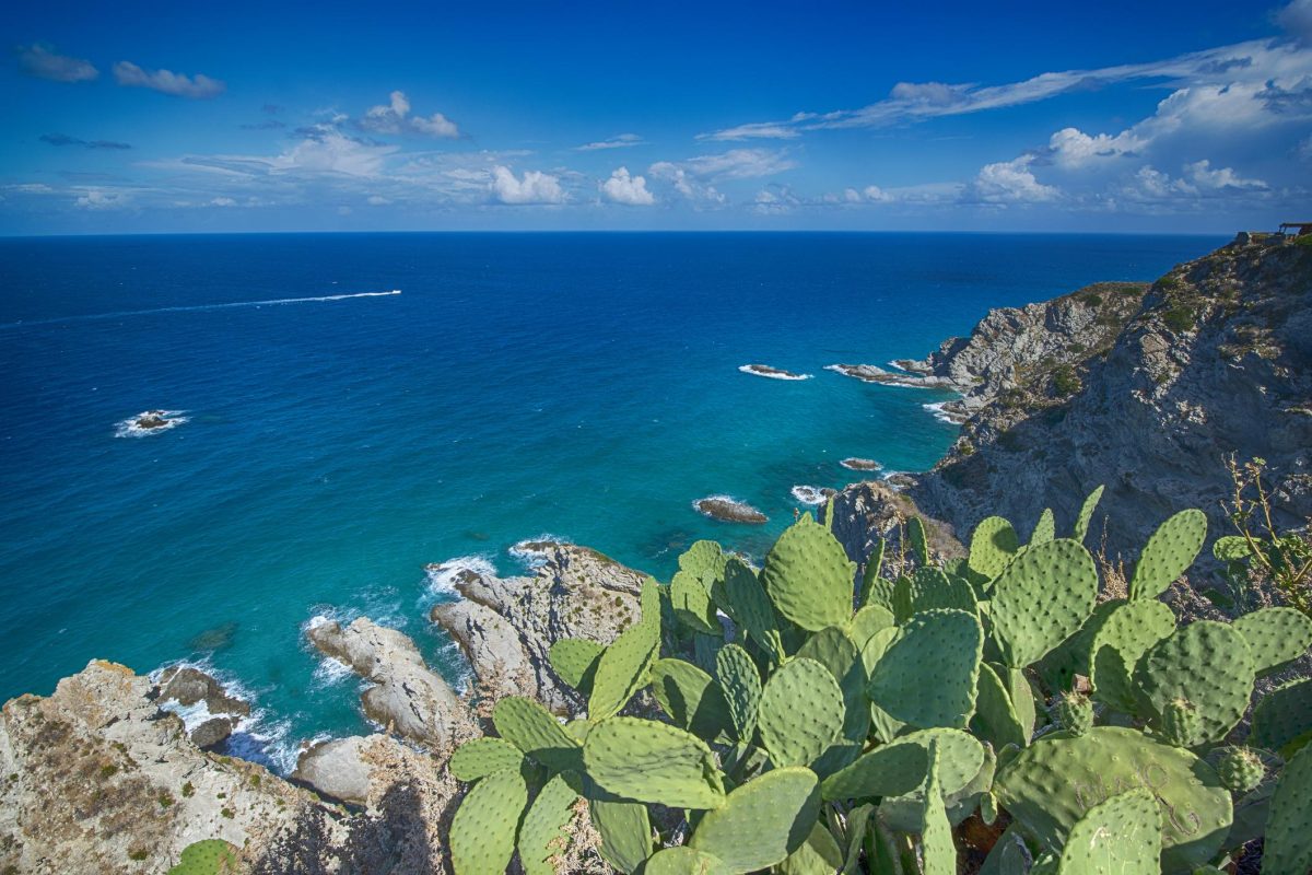 Galleria foto 'Berto, il paladino degli oppressi che unì l’Italia' - foto 3