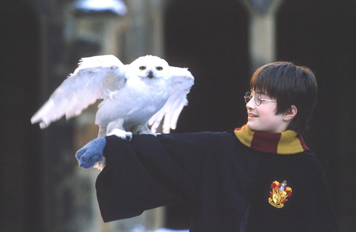 La magia di Harry Potter. Da storia per ragazzi a business da 25 miliardi