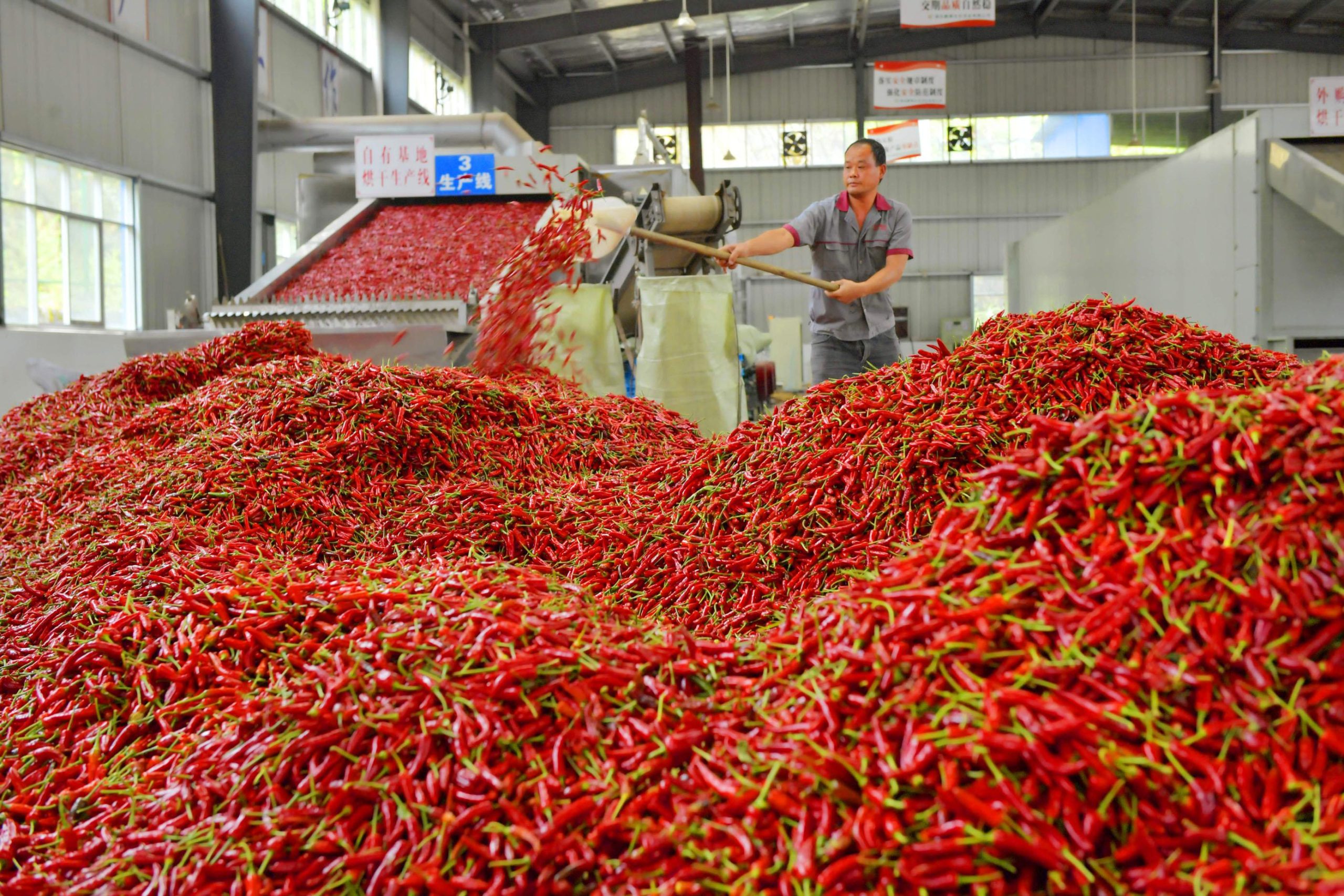 La guerra del peperoncino