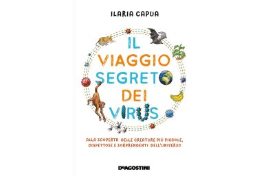 I virus, viaggiatori instancabili