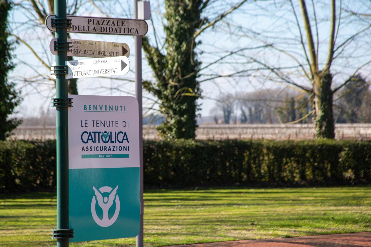 Galleria foto 'Benvenuti a Ca’ Tron, dove si coltiva il futuro' - foto 15