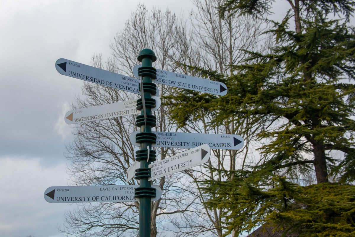 Galleria foto 'Benvenuti a Ca’ Tron, dove si coltiva il futuro' - foto 12